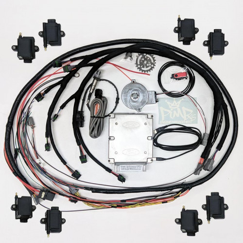 PiMPxs Engine Management + CAS + COP Kit (Sequential EFI) for V8 PiMPxs Engine Management + CAS + COP Kit (Sequential EFI) for V8